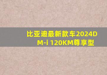 比亚迪最新款车2024DM-i 120KM尊享型